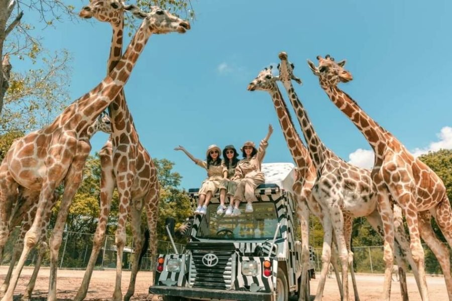 Safari World + Marine Park + Lunch