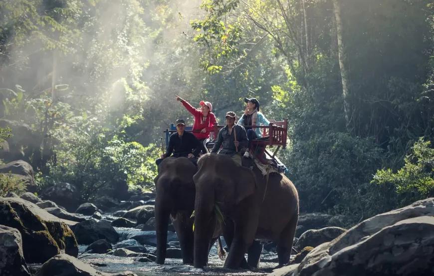 Samui Elephant Kingdom
